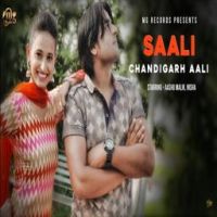 Saali Chandigarh Aali Vinu Gaur mp3 song ringtone, Saali Chandigarh Aali Vinu Gaur Ringtone Download - DjPunjab.Com.Mx