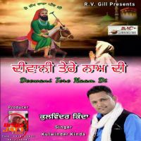 Deewani Tere Naam Di Kulwinder Kinda mp3 song ringtone, Deewani Tere Naam Di Kulwinder Kinda Ringtone Download - DjPunjab.Com.Mx