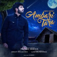 Ambari Tara Prince Meenia mp3 song ringtone, Ambari Tara Prince Meenia Ringtone Download - DjPunjab.Com.Mx