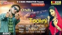 Mast Tokani Raju Punjabi mp3 song ringtone, Mast Tokani Raju Punjabi Ringtone Download - DjPunjab.Com.Mx