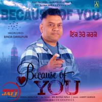 Because of You Binda Dayalpuri mp3 song ringtone, Because of You Binda Dayalpuri Ringtone Download - DjPunjab.Com.Mx
