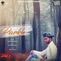 Parkh Raman Badesron mp3 song ringtone, Parkh Raman Badesron Ringtone Download - DjPunjab.Com.Mx