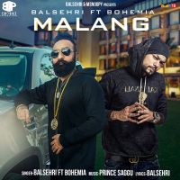 Malang Balsehri, Bohemia mp3 song ringtone, Malang Balsehri, Bohemia Ringtone Download - DjPunjab.Com.Mx