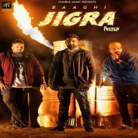 Jigra Baaghi mp3 song ringtone, Jigra Baaghi Ringtone Download - DjPunjab.Com.Mx