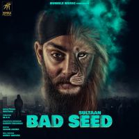 Bad Seed Sultaan mp3 song ringtone, Bad Seed Sultaan Ringtone Download - DjPunjab.Com.Mx