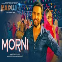 Morni (Raduaa) Dilpreet Dhillon mp3 song ringtone, Morni (Raduaa) Dilpreet Dhillon Ringtone Download - DjPunjab.Com.Mx