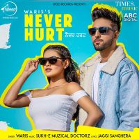 Never Hurt Waris, Sukh E Muzical Doctorz mp3 song ringtone, Never Hurt Waris, Sukh E Muzical Doctorz Ringtone Download - DjPunjab.Com.Mx