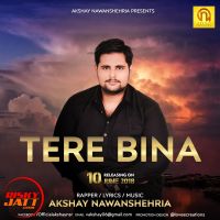 Tere Bina Akshay Nawanshahriya mp3 song ringtone, Tere Bina Akshay Nawanshahriya Ringtone Download - DjPunjab.Com.Mx