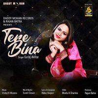 Tere Bina Gurlez Akhtar mp3 song ringtone, Tere Bina Gurlez Akhtar Ringtone Download - DjPunjab.Com.Mx