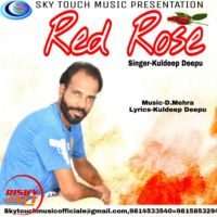 Red Rose Kuldeep Deepu mp3 song ringtone, Red Rose Kuldeep Deepu Ringtone Download - DjPunjab.Com.Mx