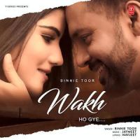 Wakh Ho Gye Binnie Toor mp3 song ringtone, Wakh Ho Gye Binnie Toor Ringtone Download - DjPunjab.Com.Mx
