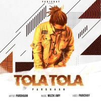 Tola Tola Pardhaan mp3 song ringtone, Tola Tola Pardhaan Ringtone Download - DjPunjab.Com.Mx