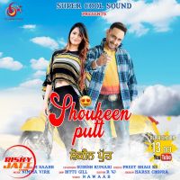 Shoukeen Putt M Saabh, Sudesh Kumari mp3 song ringtone, Shoukeen Putt M Saabh, Sudesh Kumari Ringtone Download - DjPunjab.Com.Mx