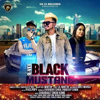 Black Mustang R Vee mp3 song ringtone, Black Mustang R Vee Ringtone Download - DjPunjab.Com.Mx