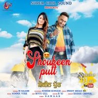 Shoukeen Putt M Saabh, Sudesh Kumari mp3 song ringtone, Shoukeen Putt M Saabh, Sudesh Kumari Ringtone Download - DjPunjab.Com.Mx
