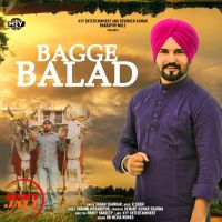 Bagge Balad Sohan Shankar mp3 song ringtone, Bagge Balad Sohan Shankar Ringtone Download - DjPunjab.Com.Mx