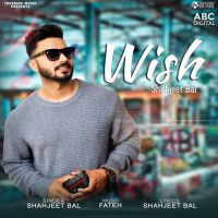 Wish Shahjeet Bal mp3 song ringtone, Wish Shahjeet Bal Ringtone Download - DjPunjab.Com.Mx