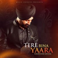 Tere Bina Yaara Sukshinder Shinda, Neetu Bhalla mp3 song ringtone, Tere Bina Yaara Sukshinder Shinda, Neetu Bhalla Ringtone Download - DjPunjab.Com.Mx