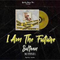 Mirzapur Sultaan, OG Ghuman mp3 song ringtone, I AM The Future Sultaan, OG Ghuman Ringtone Download - DjPunjab.Com.Mx