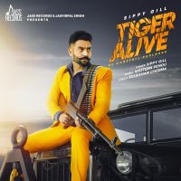 Tiger Alive Sippy Gill mp3 song ringtone, Tiger Alive Sippy Gill Ringtone Download - DjPunjab.Com.Mx