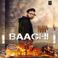 Baaghi Nish Kang mp3 song ringtone, Baaghi Nish Kang Ringtone Download - DjPunjab.Com.Mx