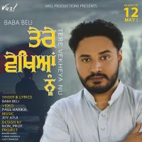 Tere Vekhya Nu (Belipuna Live) Baba Beli mp3 song ringtone, Tere Vekhya Nu (Belipuna Live) Baba Beli Ringtone Download - DjPunjab.Com.Mx