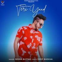 Teri Yaad Seera Buttar mp3 song ringtone, Teri Yaad Seera Buttar Ringtone Download - DjPunjab.Com.Mx