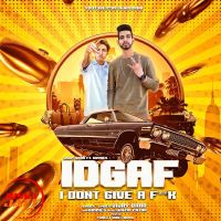 IDGAF Vijay Brar mp3 song ringtone, IDGAF Vijay Brar Ringtone Download - DjPunjab.Com.Mx