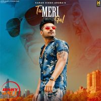 Tu Meri Gal Karan Singh Arora mp3 song ringtone, Tu Meri Gal Karan Singh Arora Ringtone Download - DjPunjab.Com.Mx