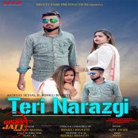 Teri Narazgi Akshay Sehal mp3 song ringtone, Teri Narazgi Akshay Sehal Ringtone Download - DjPunjab.Com.Mx