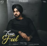 True Feel Gurpartap mp3 song ringtone, True Feel Gurpartap Ringtone Download - DjPunjab.Com.Mx