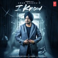 I Know Amar Sandhu, Neetu Bhalla mp3 song ringtone, I Know Amar Sandhu, Neetu Bhalla Ringtone Download - DjPunjab.Com.Mx