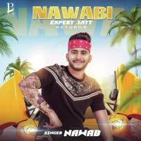 Nawabi Expert Jatt Returns Nawab mp3 song ringtone, Nawabi Expert Jatt Returns Nawab Ringtone Download - DjPunjab.Com.Mx