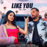 Like U Garry Sandhu mp3 song ringtone, Like U (Tere Jaisi) Garry Sandhu Ringtone Download - DjPunjab.Com.Mx