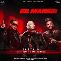 Dil Mangdi Jazzy B, Apache Indian mp3 song ringtone, Dil Mangdi Jazzy B, Apache Indian Ringtone Download - DjPunjab.Com.Mx