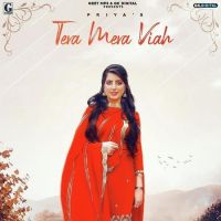 Tera Mera Viah Priya mp3 song ringtone, Tera Mera Viah Priya Ringtone Download - DjPunjab.Com.Mx
