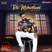 Teri Meharbani Sunny Urdhan mp3 song ringtone, Teri Meharbani Sunny Urdhan Ringtone Download - DjPunjab.Com.Mx