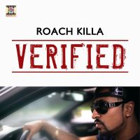 Tell Me What You Want Roach Killa , Sarmad Qadeer mp3 song ringtone, Verified Roach Killa , Sarmad Qadeer Ringtone Download - DjPunjab.Com.Mx