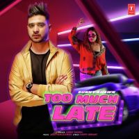 Too Much Late Sunny Shawn mp3 song ringtone, Too Much Late Sunny Shawn Ringtone Download - DjPunjab.Com.Mx