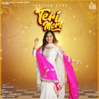 Teri Meri Tanishq Kaur mp3 song ringtone, Teri Meri Tanishq Kaur Ringtone Download - DjPunjab.Com.Mx