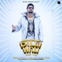 Dilli Wali Roshan Prince, Payal Dev mp3 song ringtone, Dilli Wali Roshan Prince, Payal Dev Ringtone Download - DjPunjab.Com.Mx