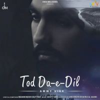 Tod Da E Dil Ammy Virk mp3 song ringtone, Tod Da E Dil Ammy Virk Ringtone Download - DjPunjab.Com.Mx
