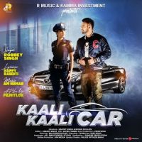Kaali Kaali Car Robbey Singh mp3 song ringtone, Kaali Kaali Car Robbey Singh Ringtone Download - DjPunjab.Com.Mx
