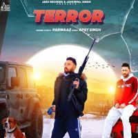 Terror Parwaaz mp3 song ringtone, Terror Parwaaz Ringtone Download - DjPunjab.Com.Mx