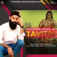 Tavitri Nakash Roomi, Naseebo Lal mp3 song ringtone, Tavitri Nakash Roomi, Naseebo Lal Ringtone Download - DjPunjab.Com.Mx