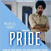 Pride Nseeb mp3 song ringtone, Pride Nseeb Ringtone Download - DjPunjab.Com.Mx