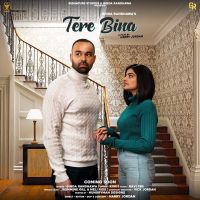 Tere Bina Ginda Randhawa mp3 song ringtone, Tere Bina Ginda Randhawa Ringtone Download - DjPunjab.Com.Mx