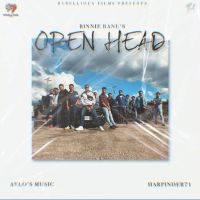 Open Head Binnie Ranu mp3 song ringtone, Open Head Binnie Ranu Ringtone Download - DjPunjab.Com.Mx