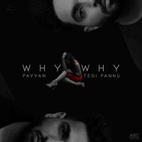 Why Why Pavvan, Tegi Pannu mp3 song ringtone, Why Why Pavvan, Tegi Pannu Ringtone Download - DjPunjab.Com.Mx