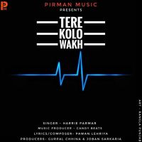 Tere Kolo Wakh Harrie Parmar mp3 song ringtone, Tere Kolo Wakh Harrie Parmar Ringtone Download - DjPunjab.Com.Mx